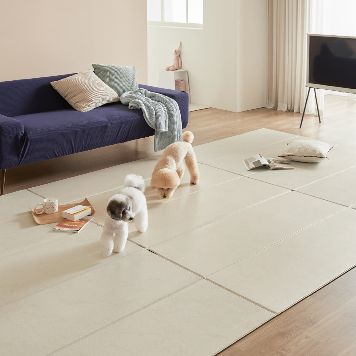 Pupping Pet Mat Folding Type | Modern Design