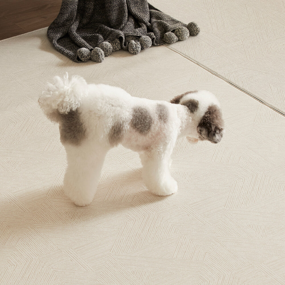 Pupping Pet Mat Rug Type | Modern Design