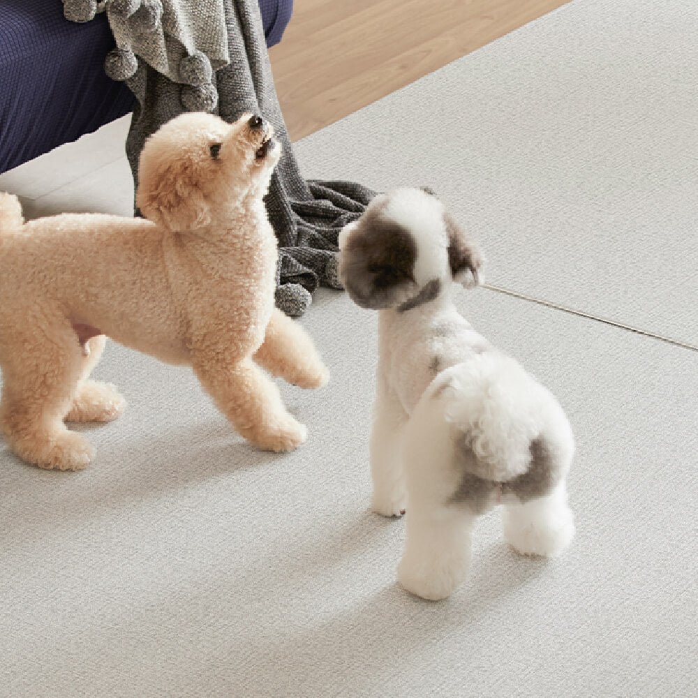 Pupping Pet Mat Rug Type | Modern Design