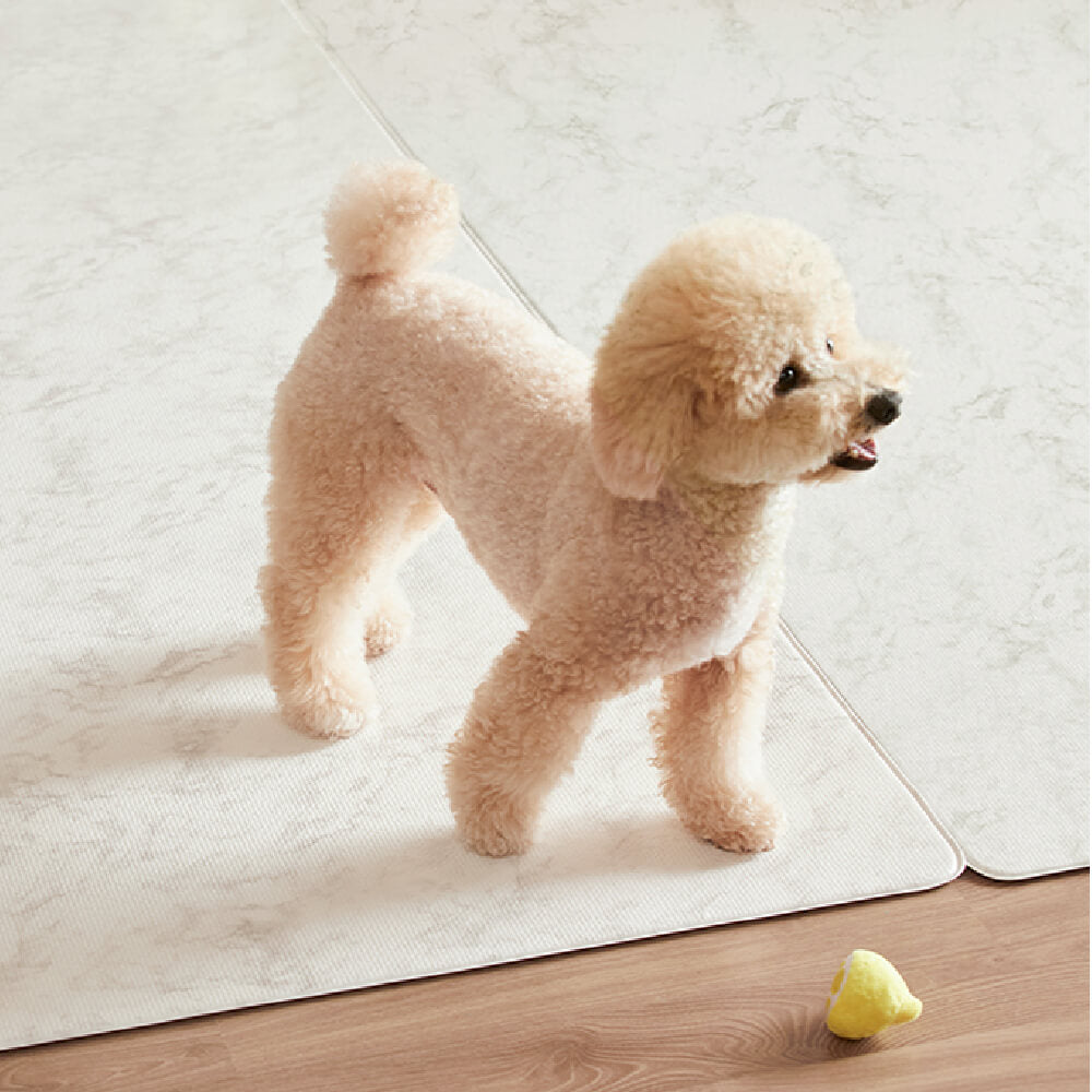 Pupping Pet Mat Rug Type | Modern Design