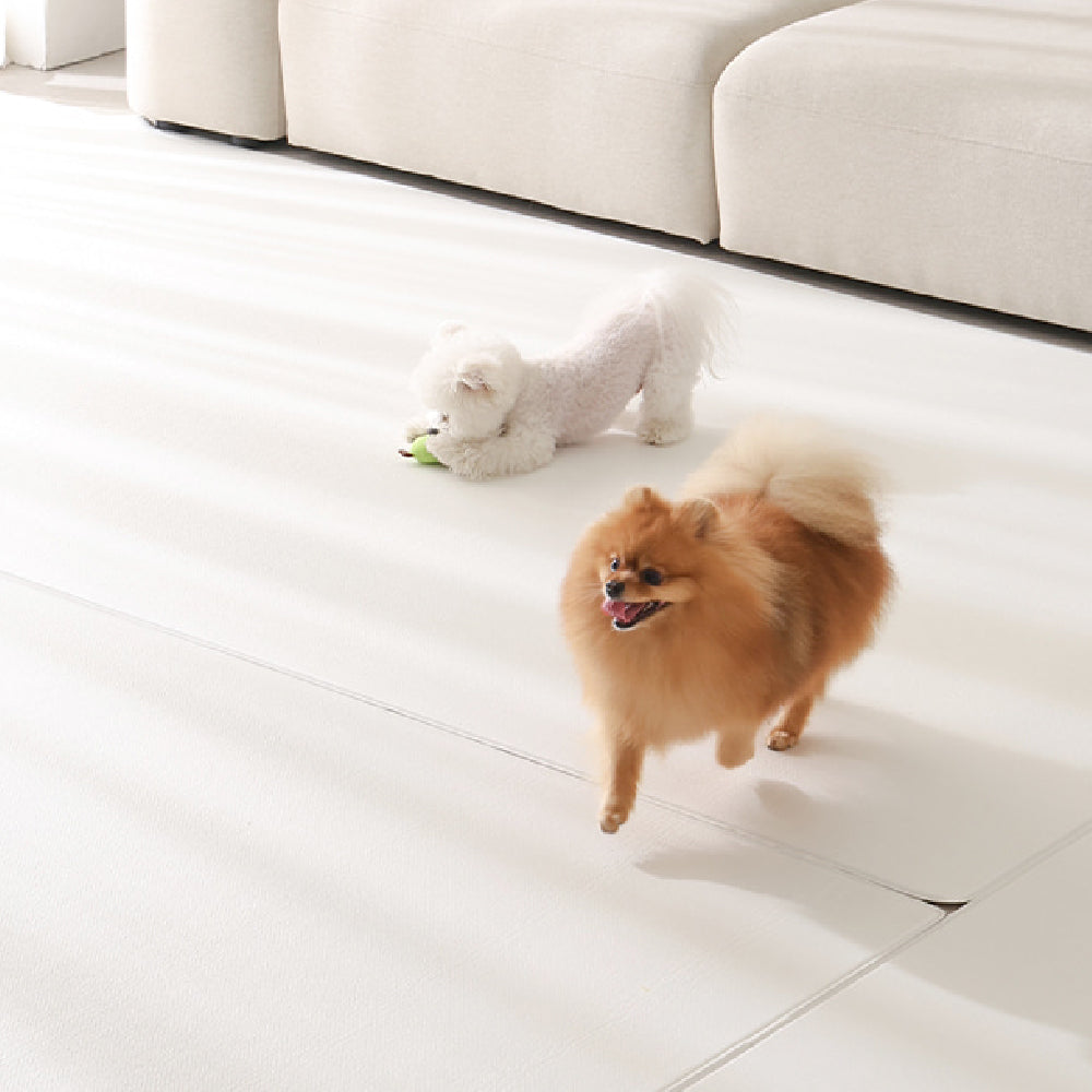 Pupping Pet Mat Rug Type | Modern Design