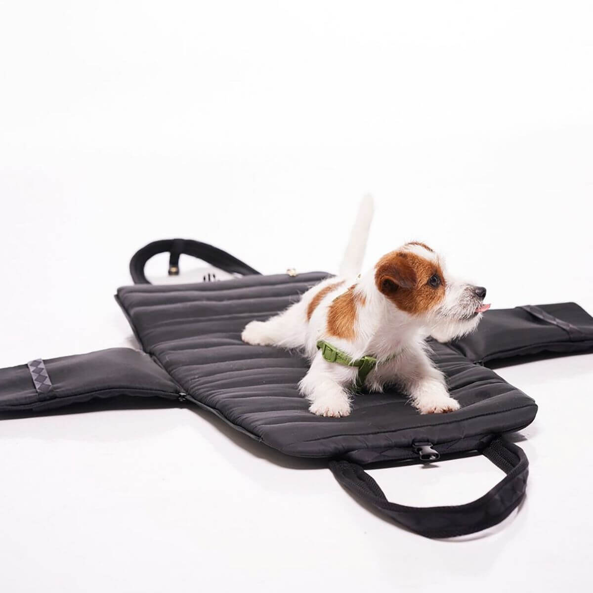 Pups and Bubs Everywhere Convertible Tote Bag Carrier in black with a Jack Russell Terrier on it.