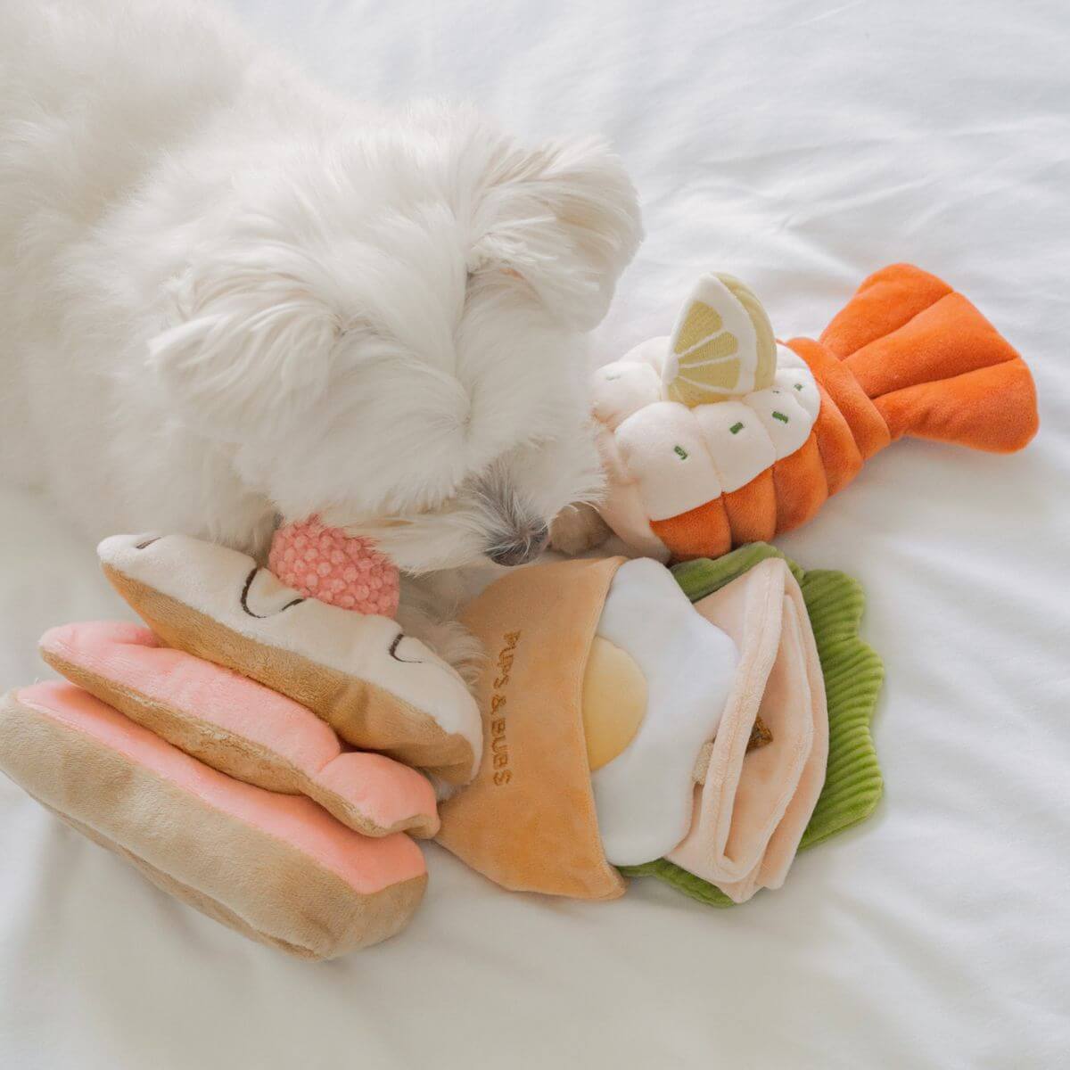 A maltese with the Pups and Bubs Grilled Lobster Nosework Toy.
