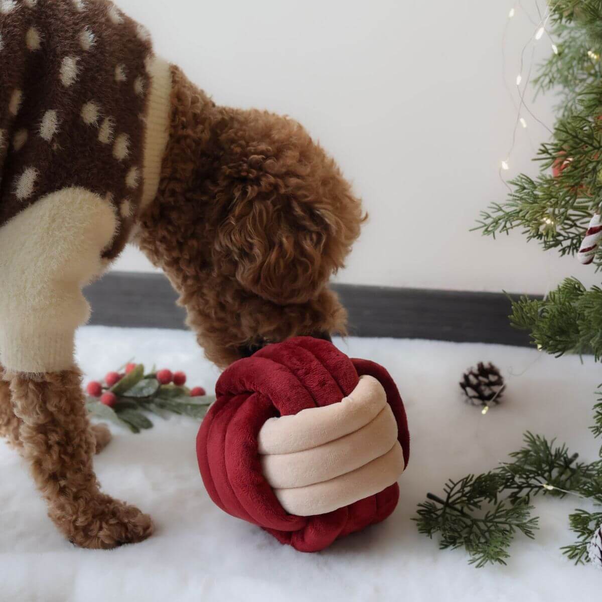 A poodle playing with the Pups and Bubs Jingle Know Nosework Toy.