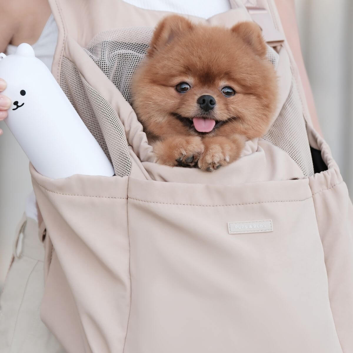 Pups and Bubs Let's Adventure Backpack in Desert with a Pomeranian in it.