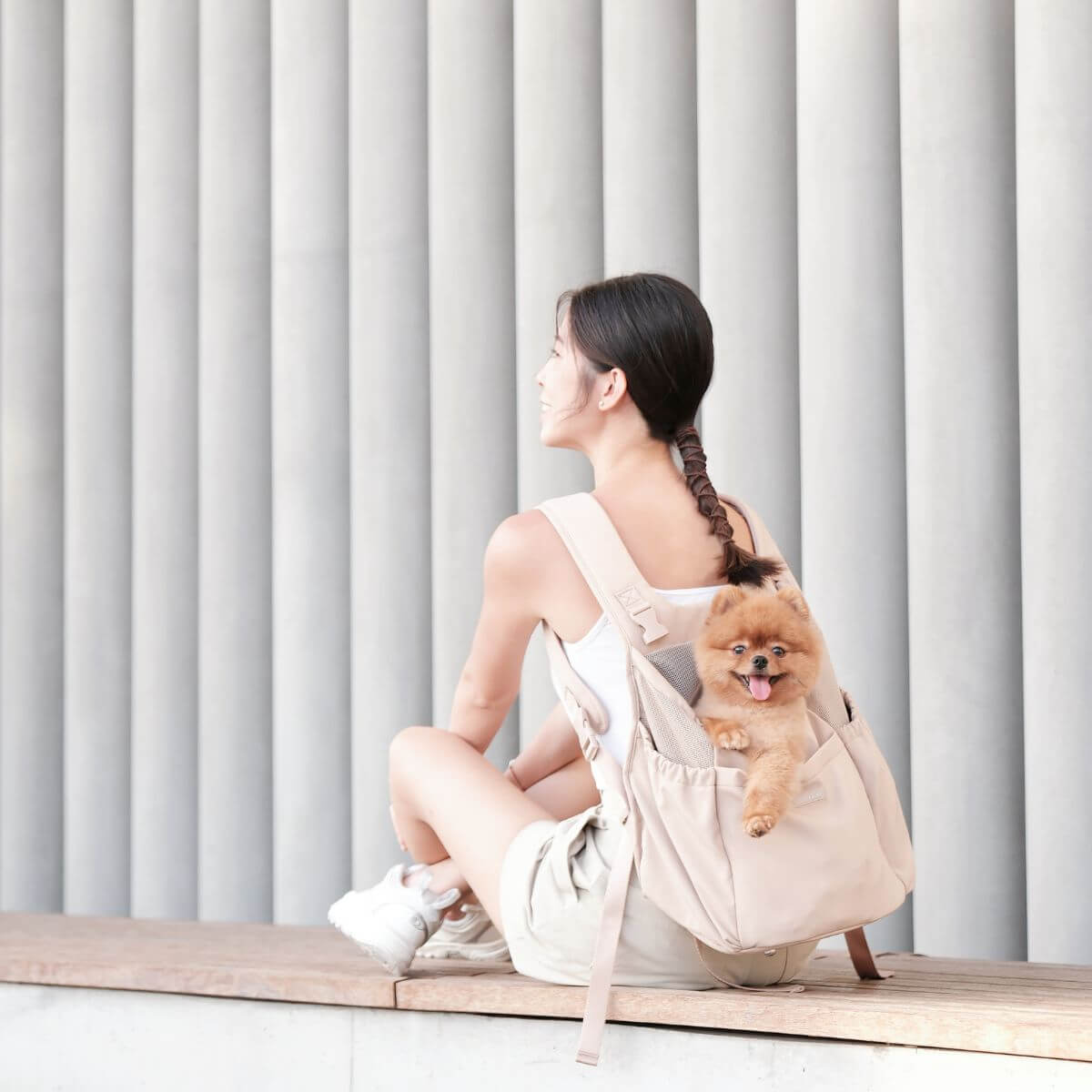 Pups and Bubs Let's Adventure Backpack in Desert with a Pomeranian in it.