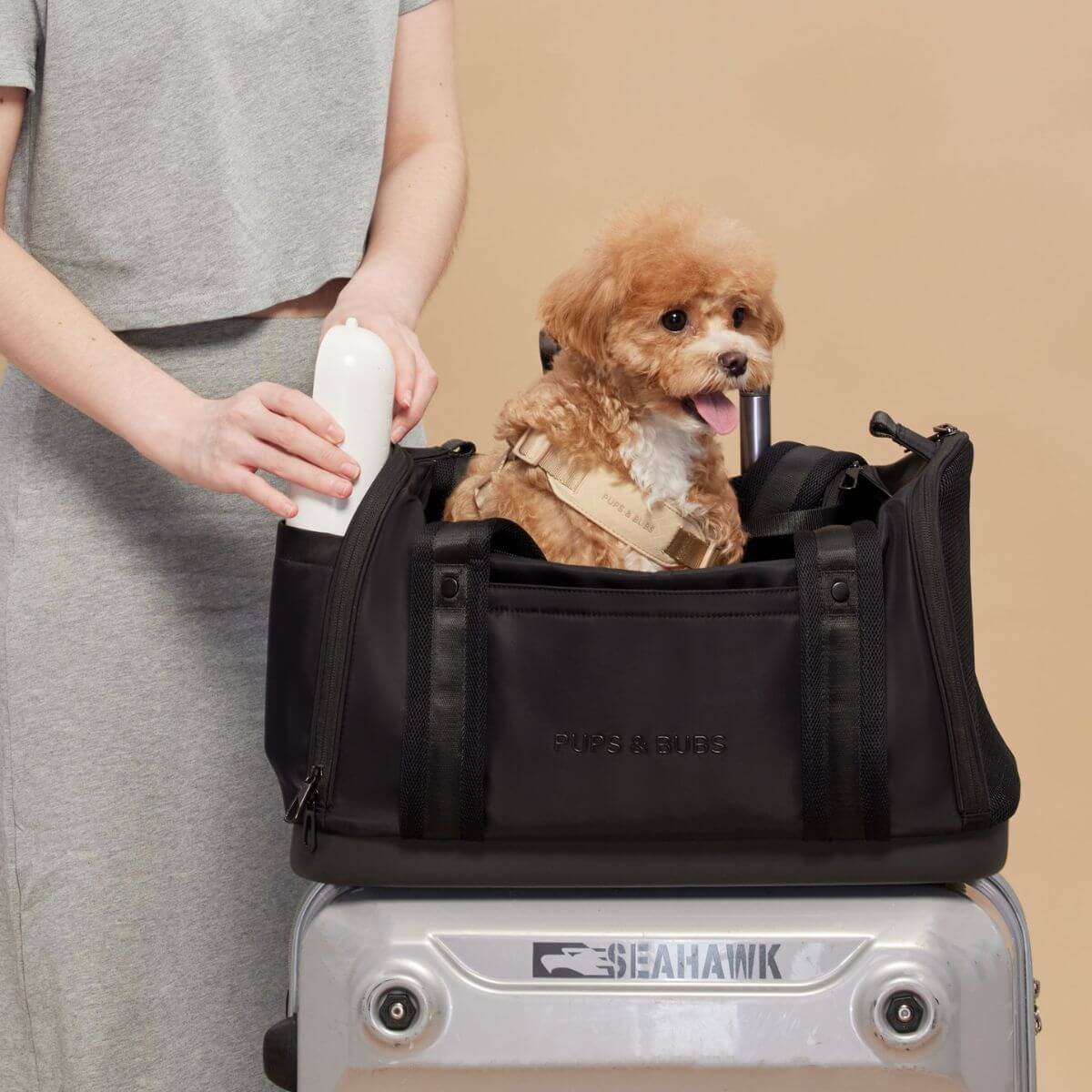 A dog peeking out of the top opening of the Pups and Bubs Onboard Travel Carrier with a woman demonstrating side pockets for bottle storage.