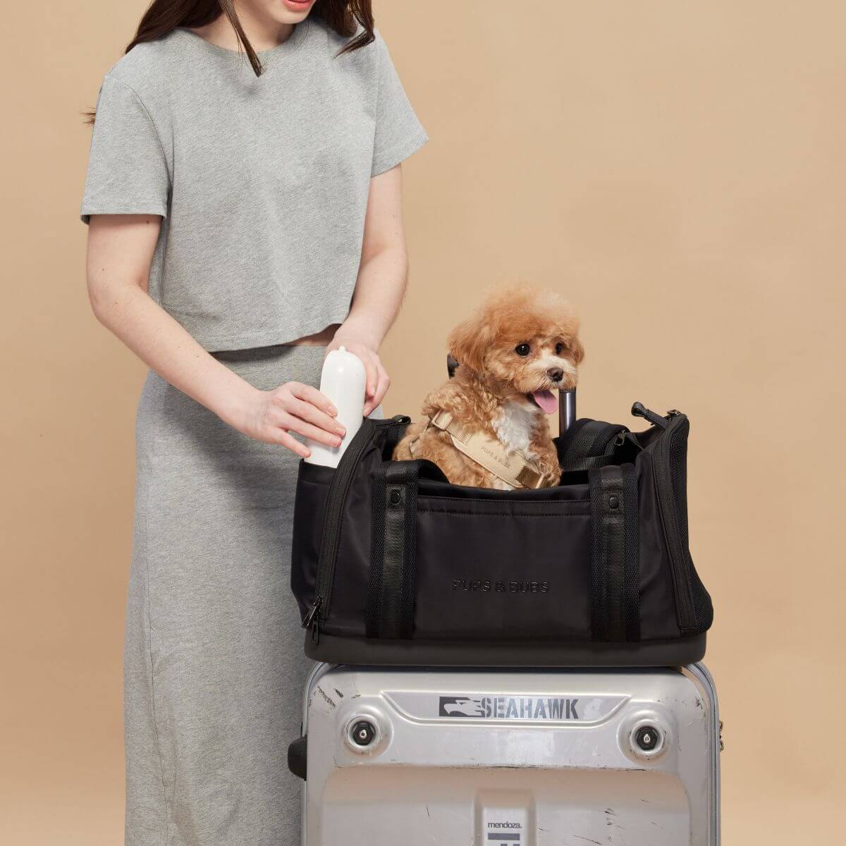 Pups and Bubs Onboard Travel Carrier on a suitcase.