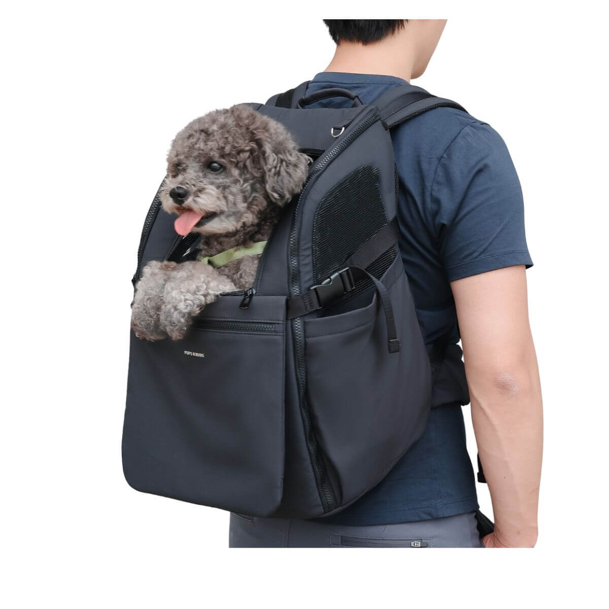 Pups & Bubs Traveler Pet Carrier Backpack