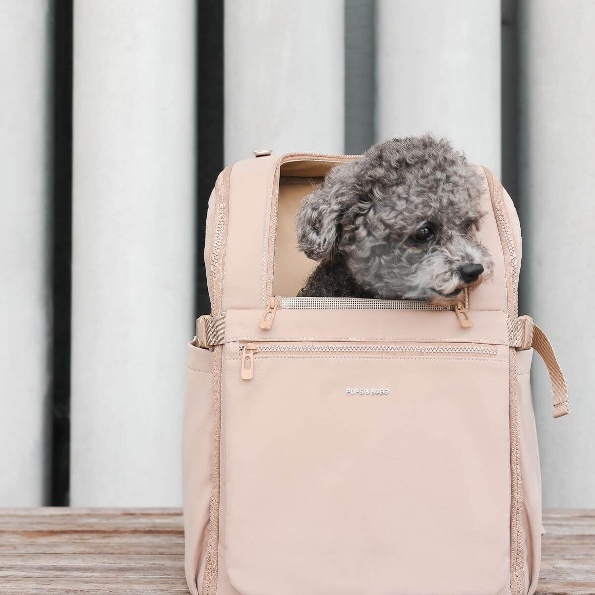 Pups & Bubs Traveler Pet Carrier Backpack