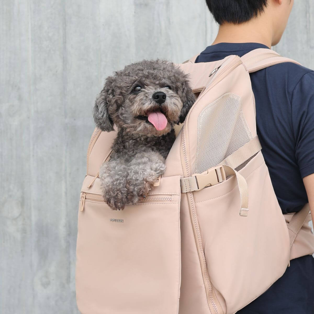 Pups & Bubs Traveler Pet Carrier Backpack