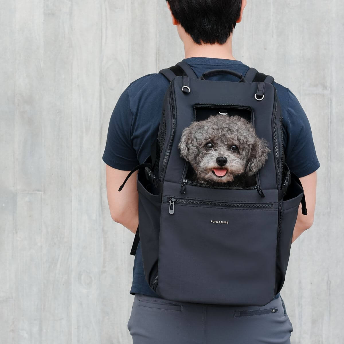 Pups & Bubs Traveler Pet Carrier Backpack