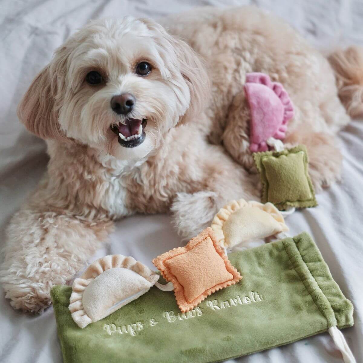 A dog posing with the Pups and Bubs Ravioli Nosework Toy on a bed.