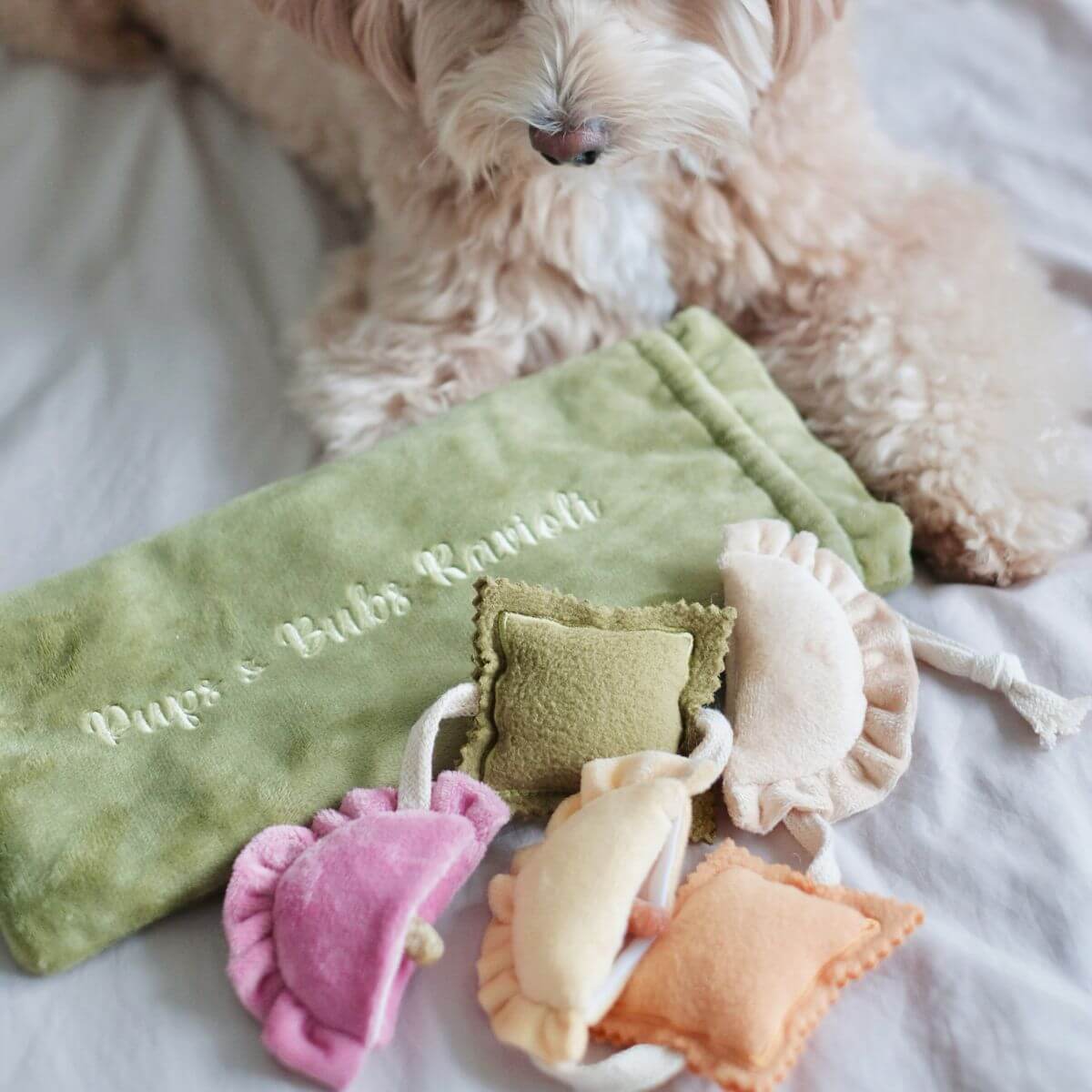 A dog with the Pups and Bubs Ravioli Nosework Toy.