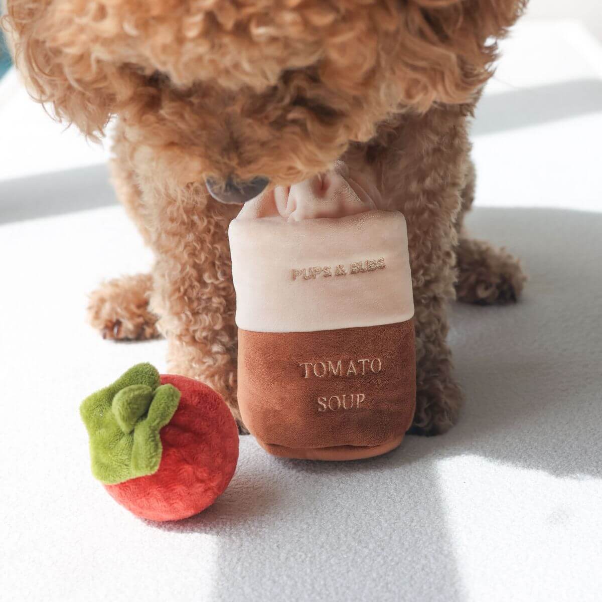 A poodle sniffing the Pups and Bubs Tomato Soup Nosework Toy.