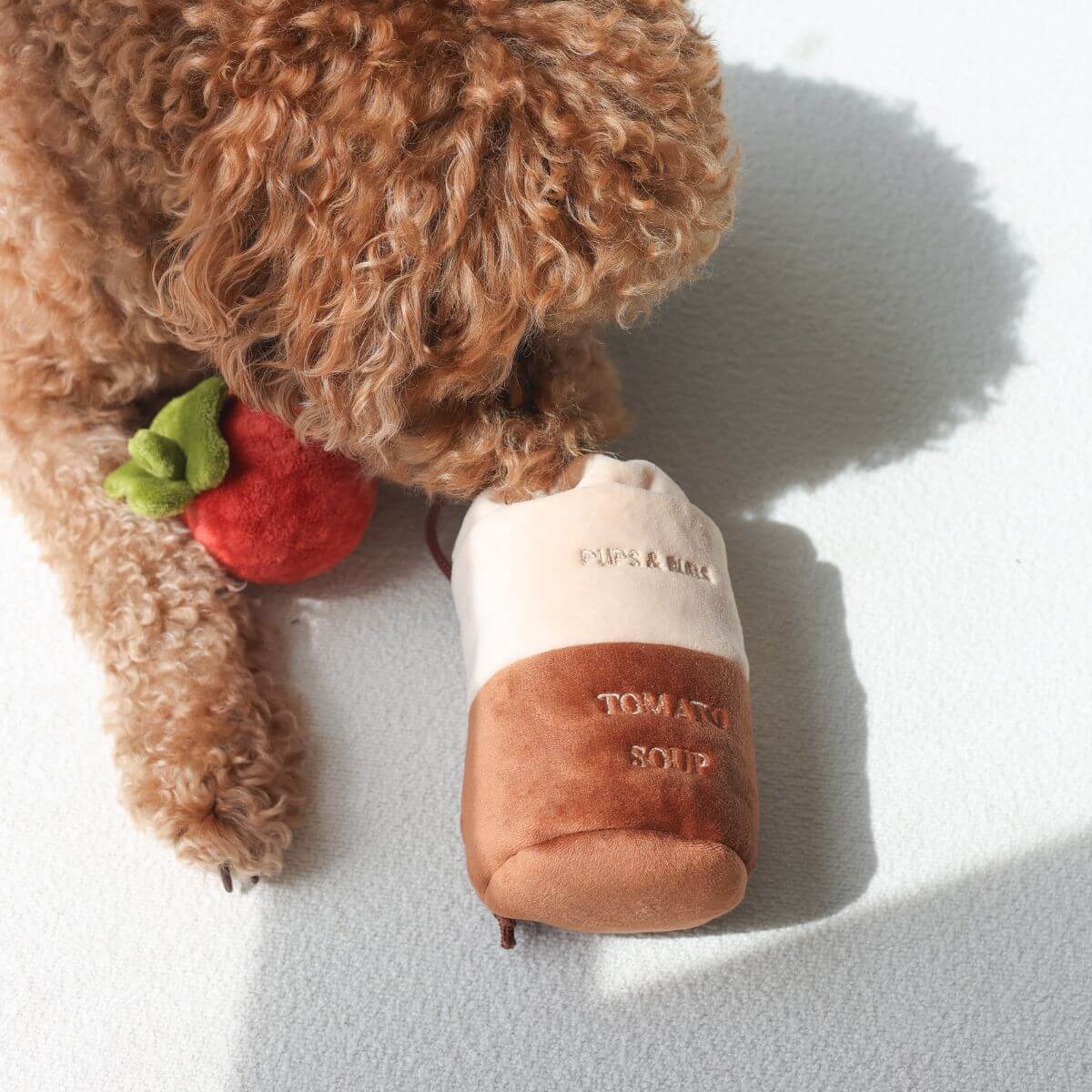A poodle checking out the Pups and Bubs Tomato Soup Nosework Toy.