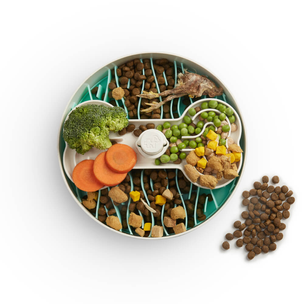 Puzzle Feeder for Larger Dogs