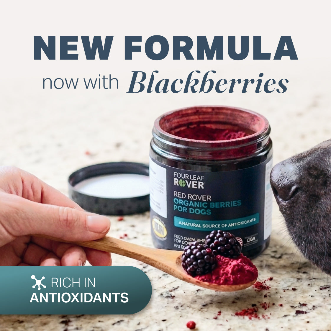 Four Leaf Rover Red Rover | Organic Berries for Dogs
