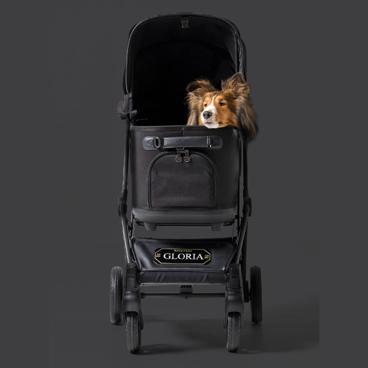 Royal Tails Gloria Pet Stroller w/ Detachable Basket | Black