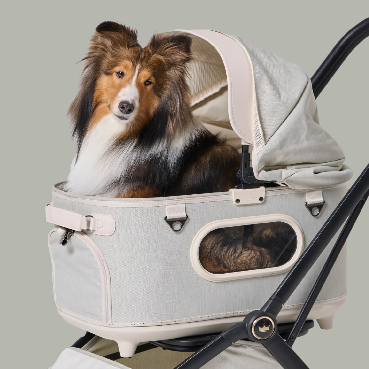 Royal Tails Gloria Pet Stroller w/ Detachable Basket | White Green