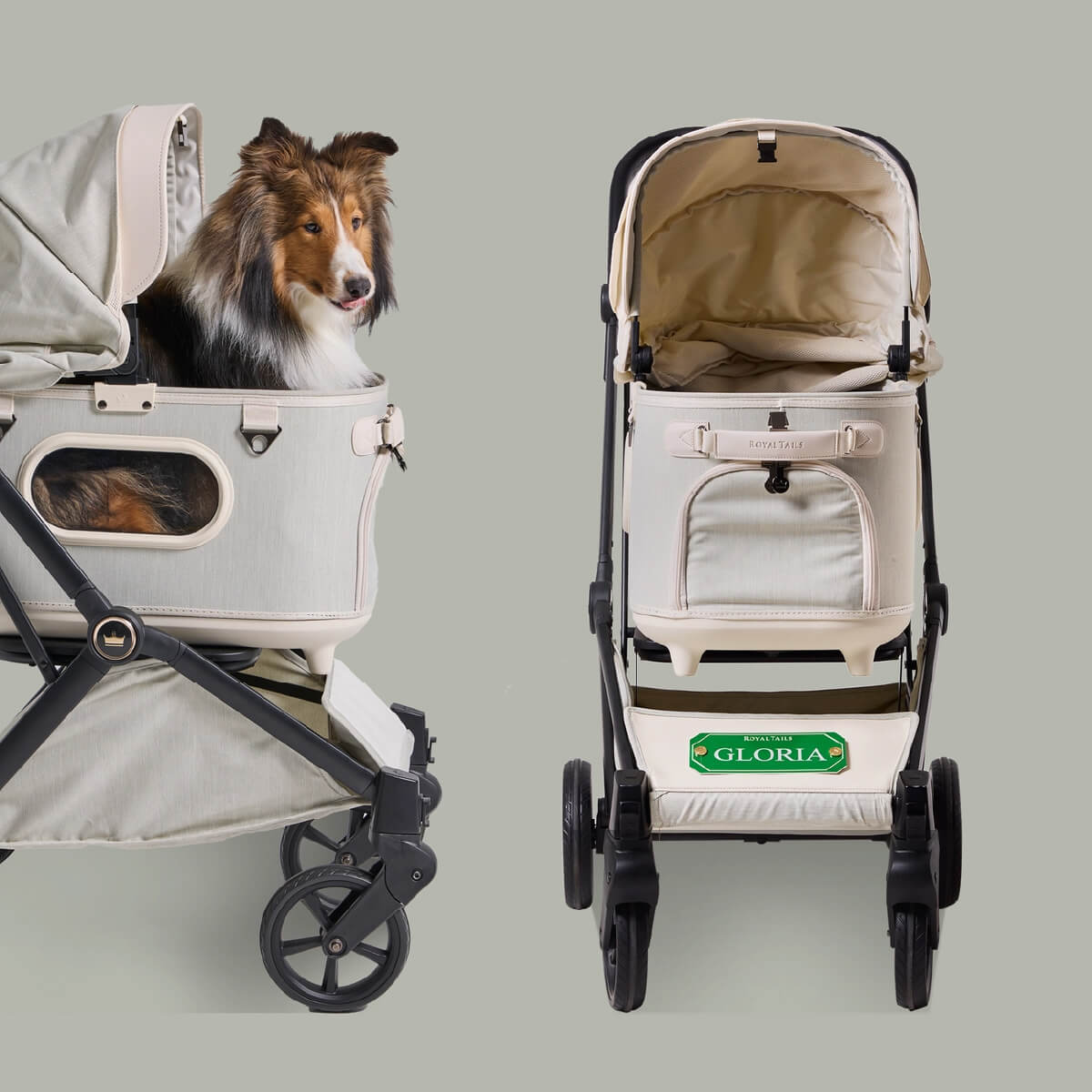 Royal Tails Gloria Pet Stroller w/ Detachable Basket | White Green