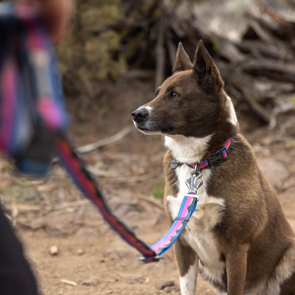 Ruffwear Crag™ Reflective Dog Collar