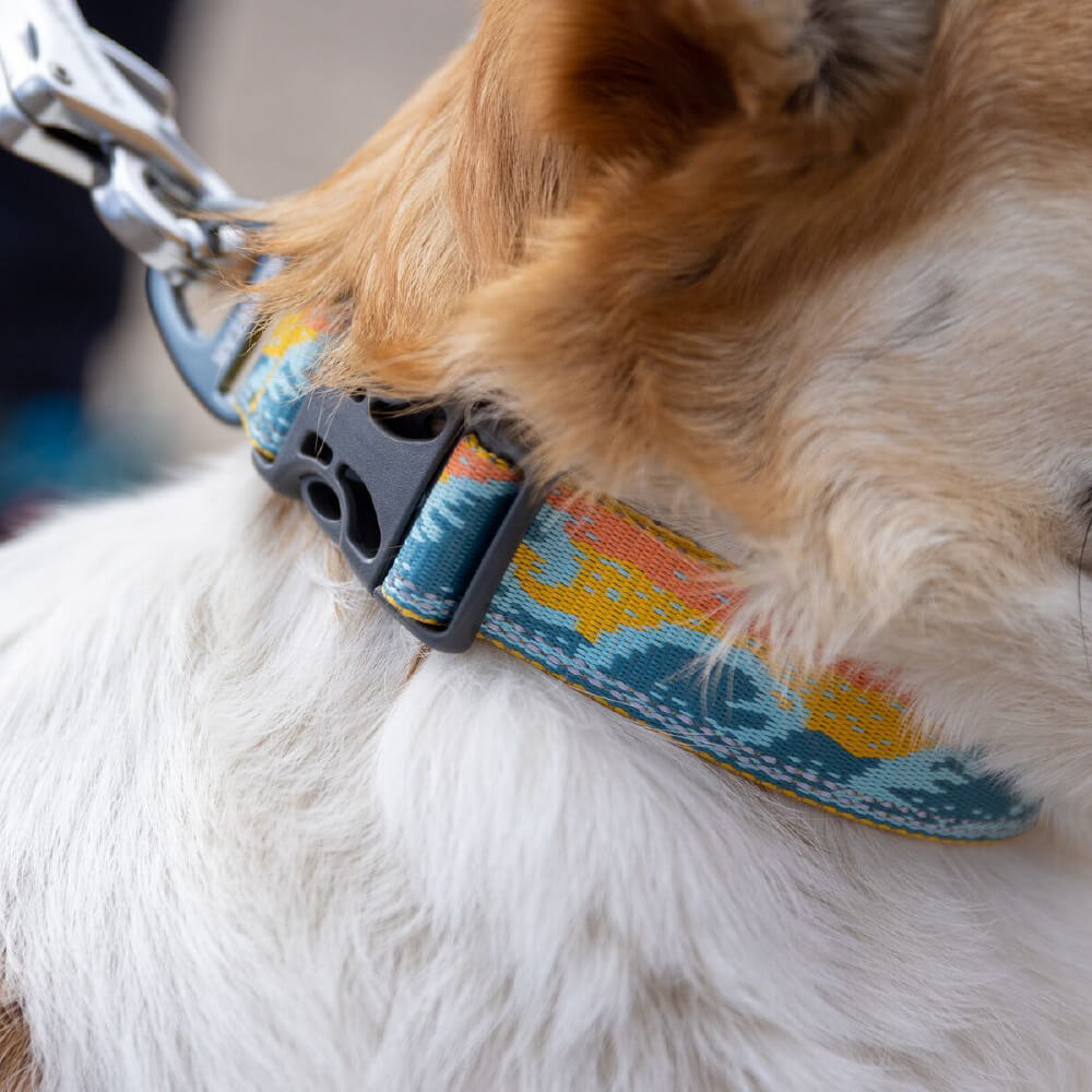 Ruffwear Crag™ Reflective Dog Collar