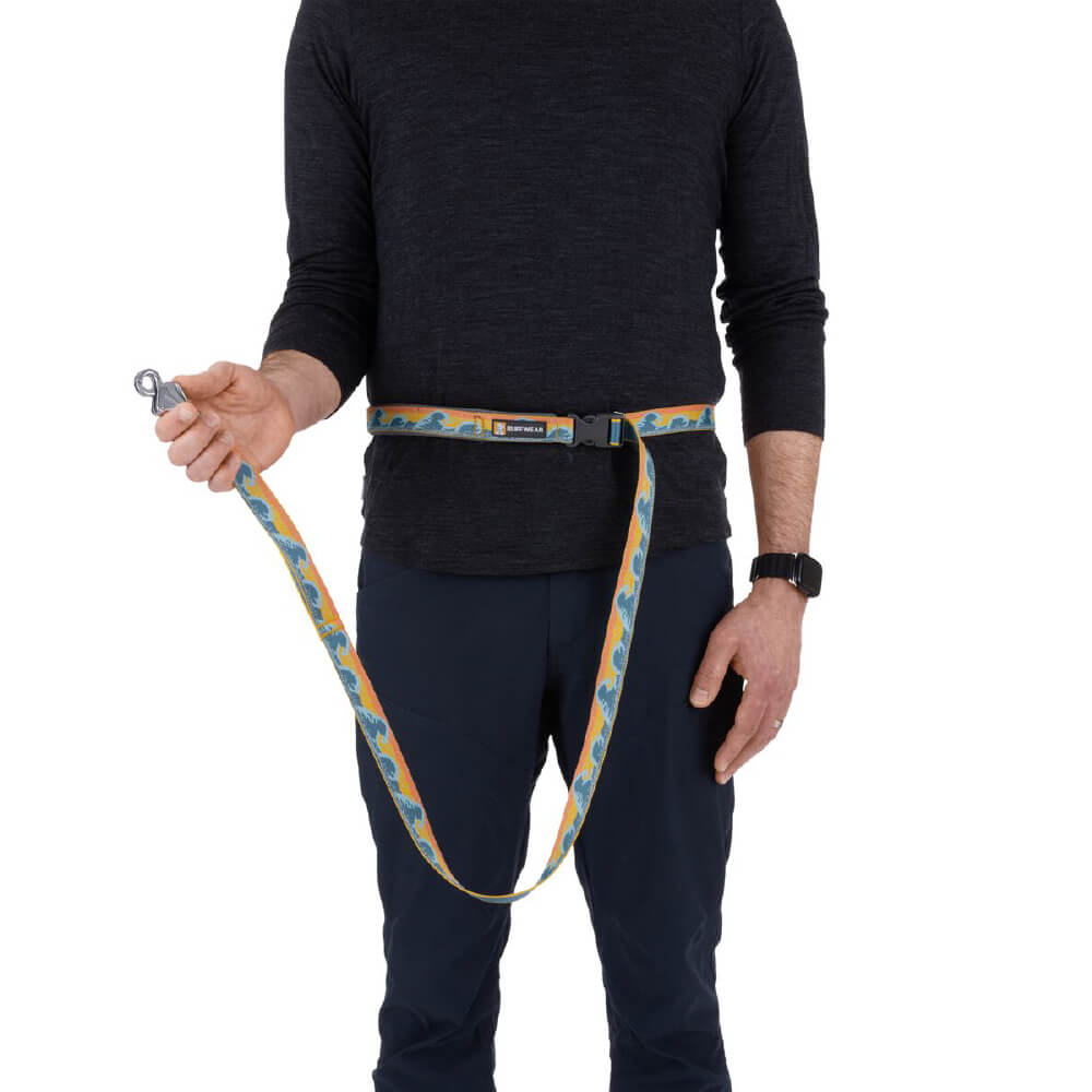 Ruffwear Crag™ Reflective Dog Leash with Traffic Handle