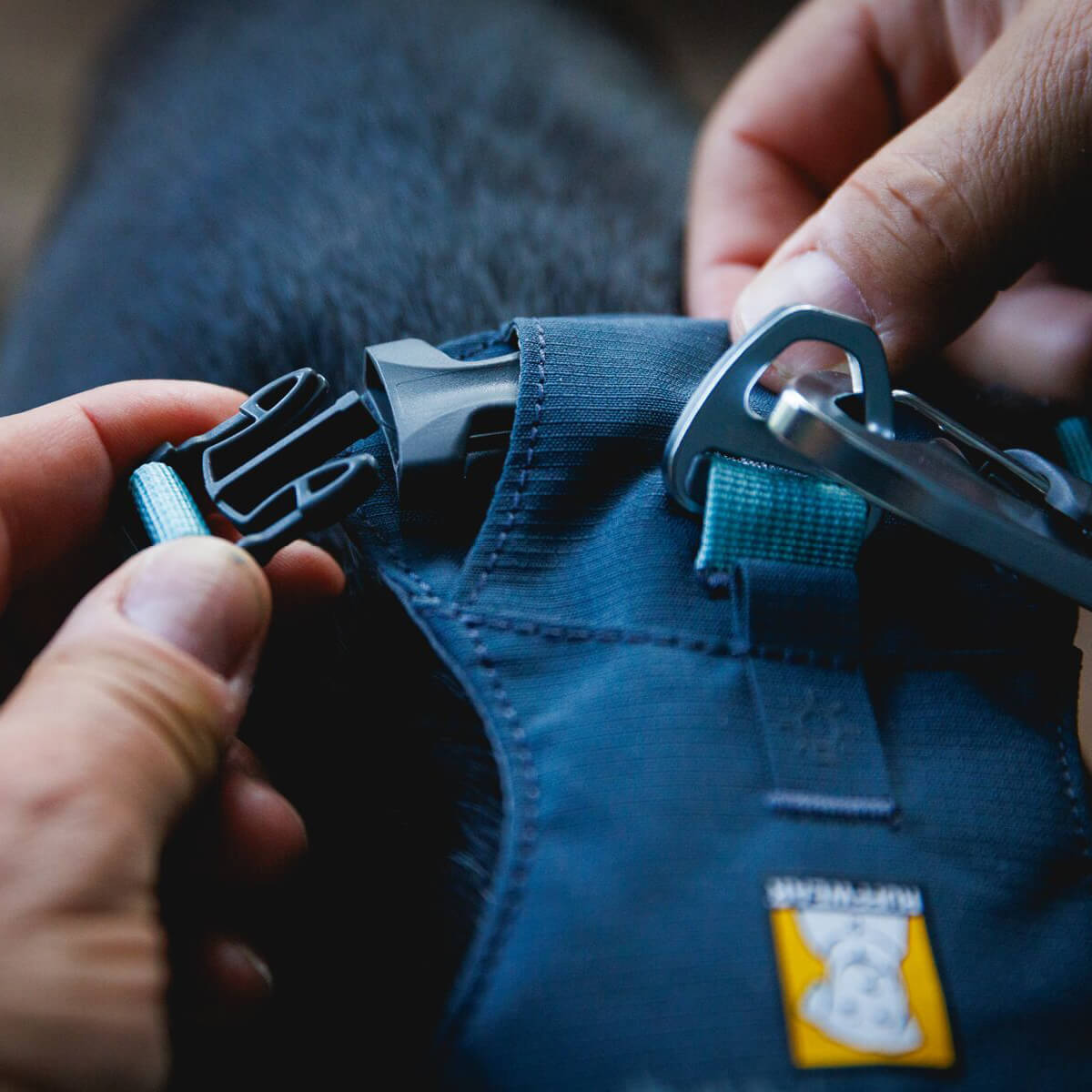 Ruffwear Hi & Light™ Lightweight Dog Harness