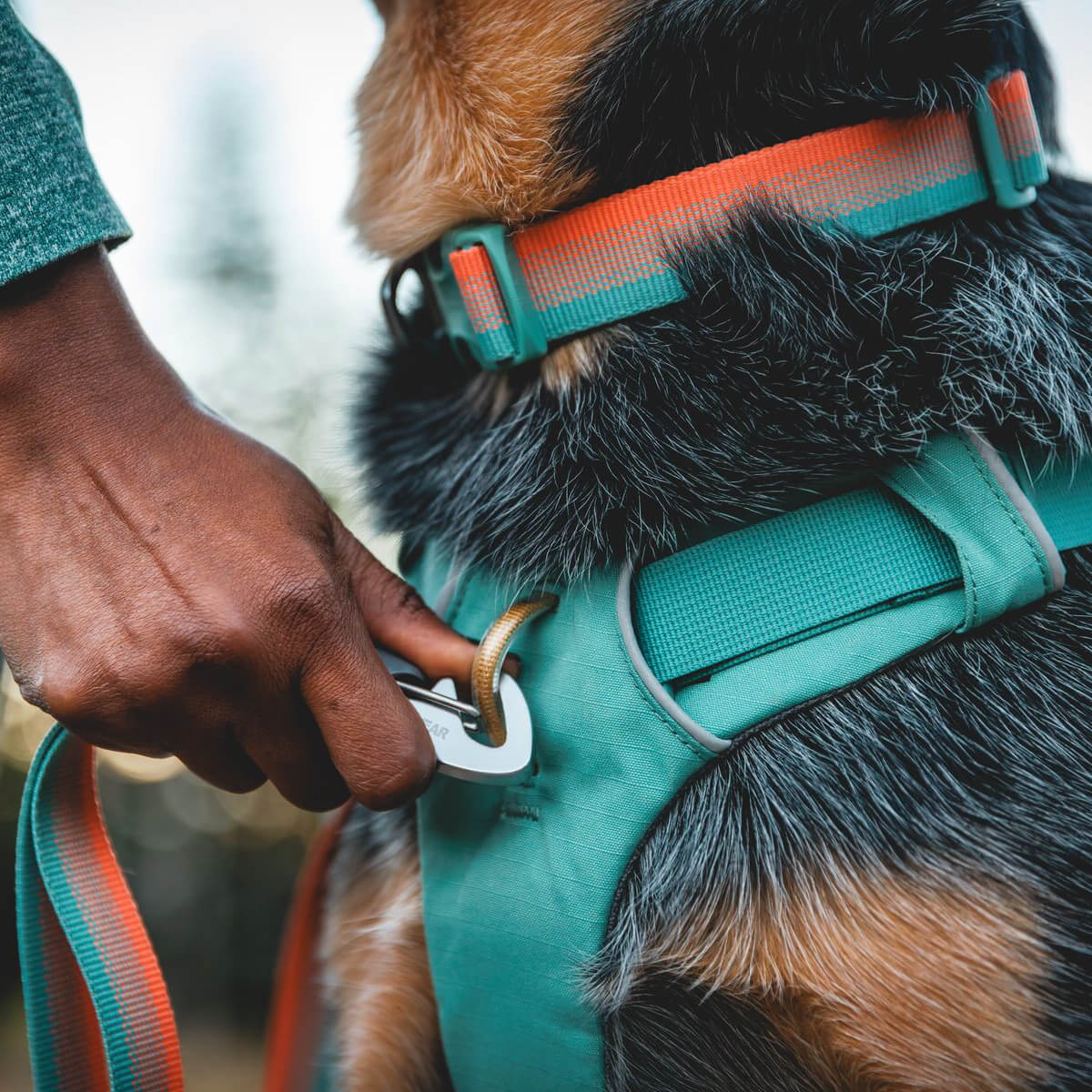 Ruffwear Front Range™ Dog Collar