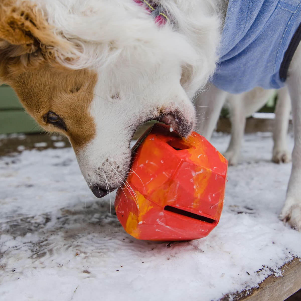 Ruffwear Gnawt-a-Rock™ Treat Dispenser & Toy