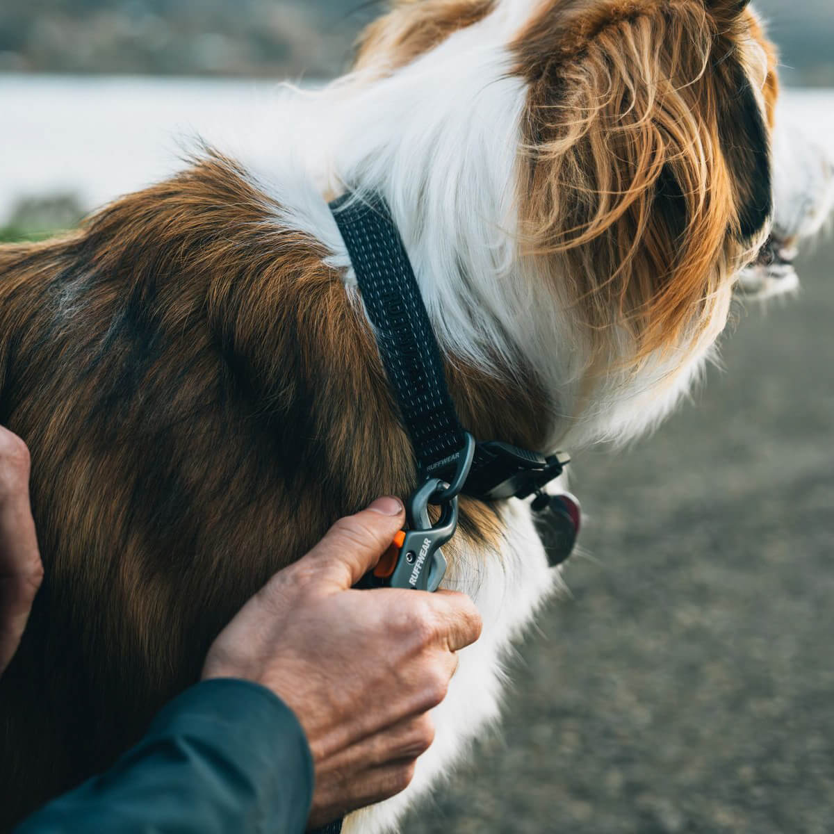 Ruffwear Ridgeline™ Dog Collar