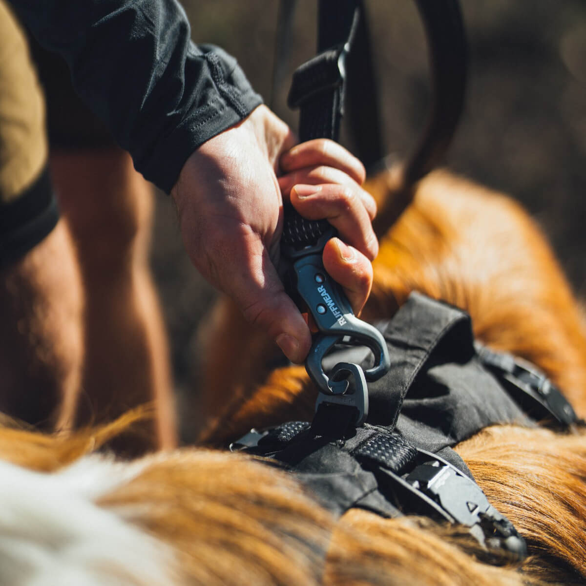 Ruffwear Ridgeline™ Dog Leash