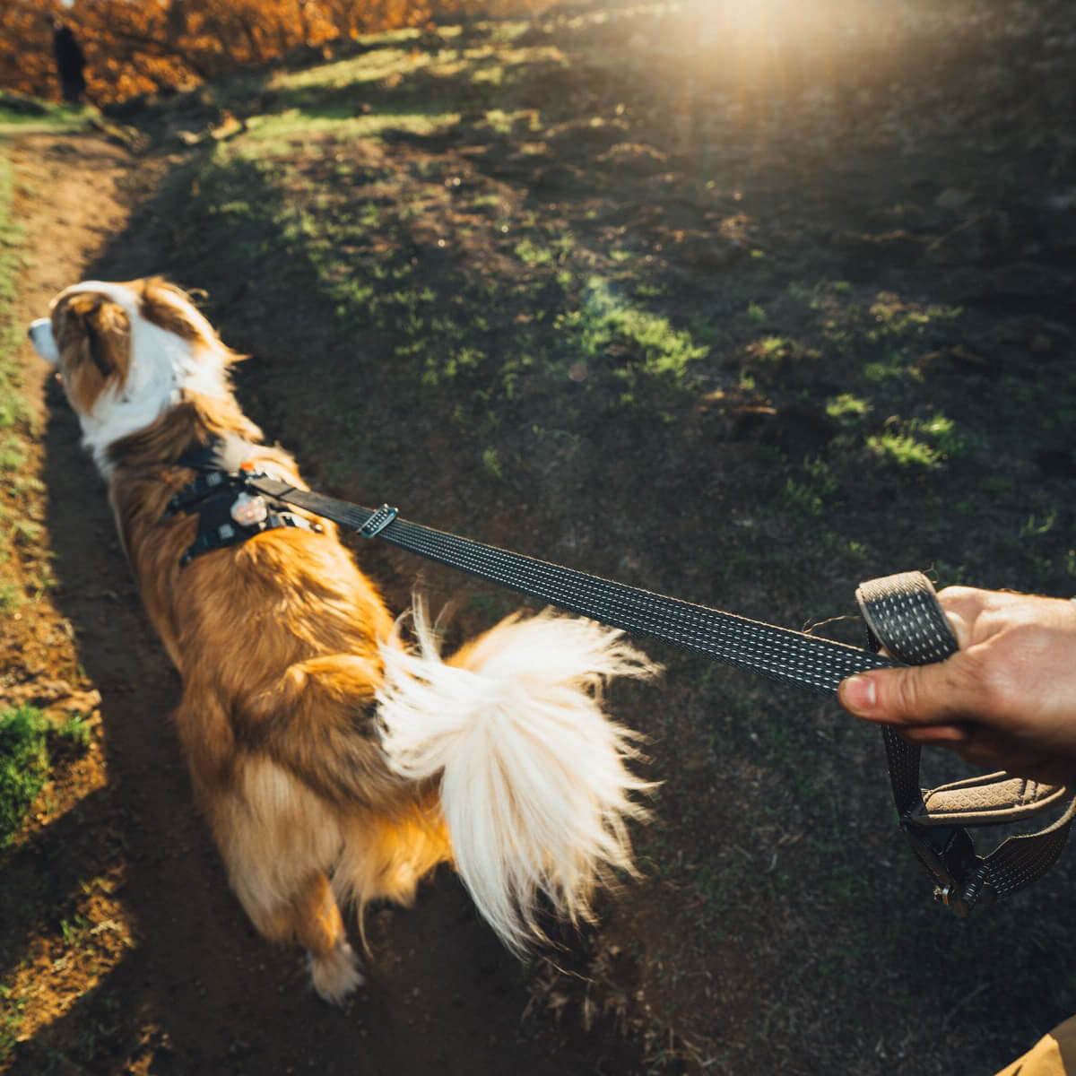 Ruffwear Ridgeline™ Dog Leash