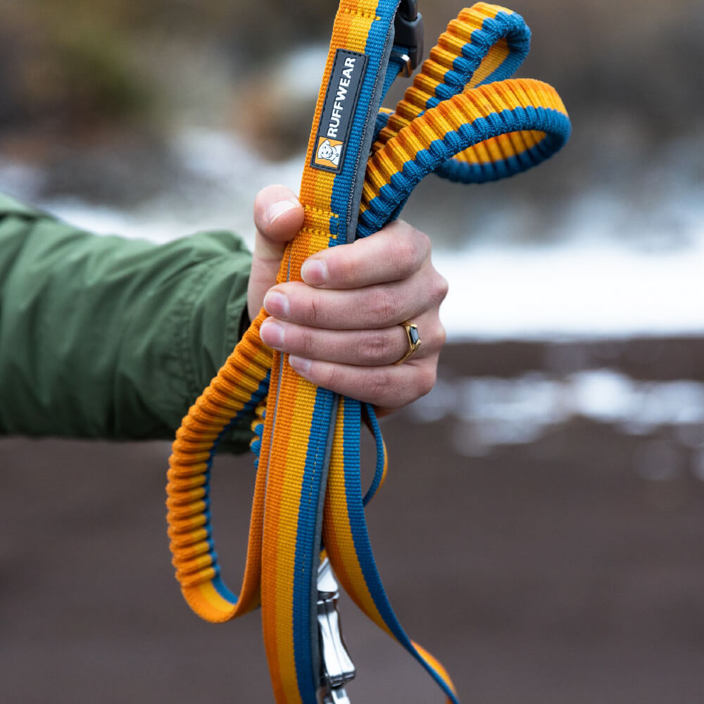 Ruffwear Roamer™ Bungee Dog Leash