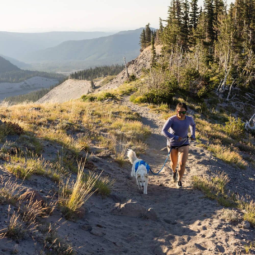 Ruffwear Trail Runner™ Running Belt