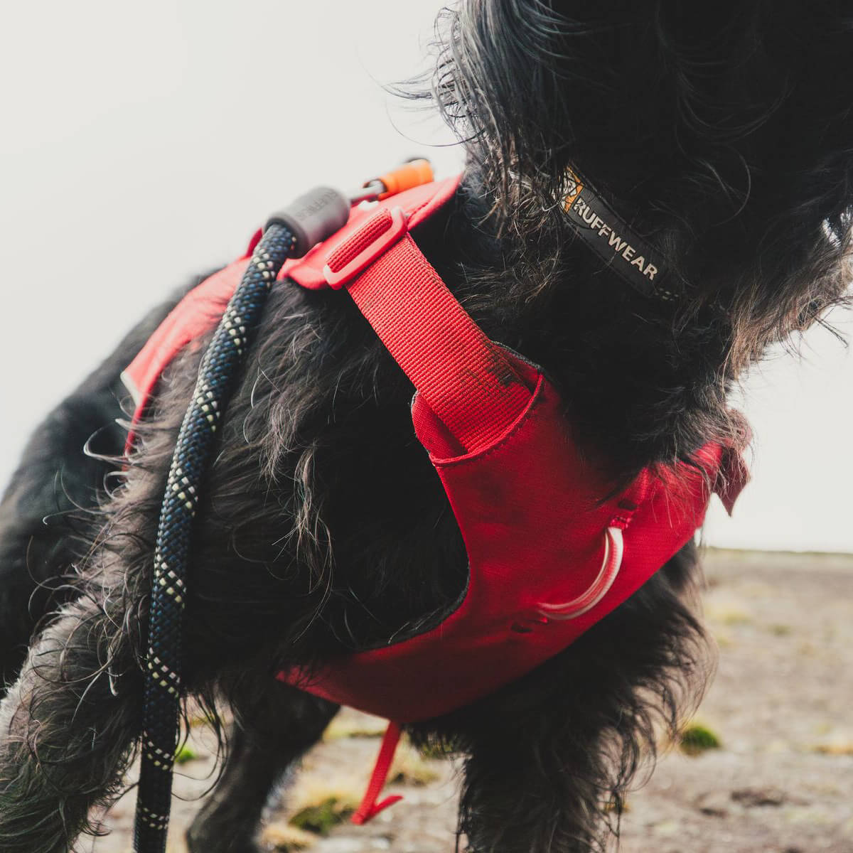Ruffwear Web Master™ Dog Harness with Handle