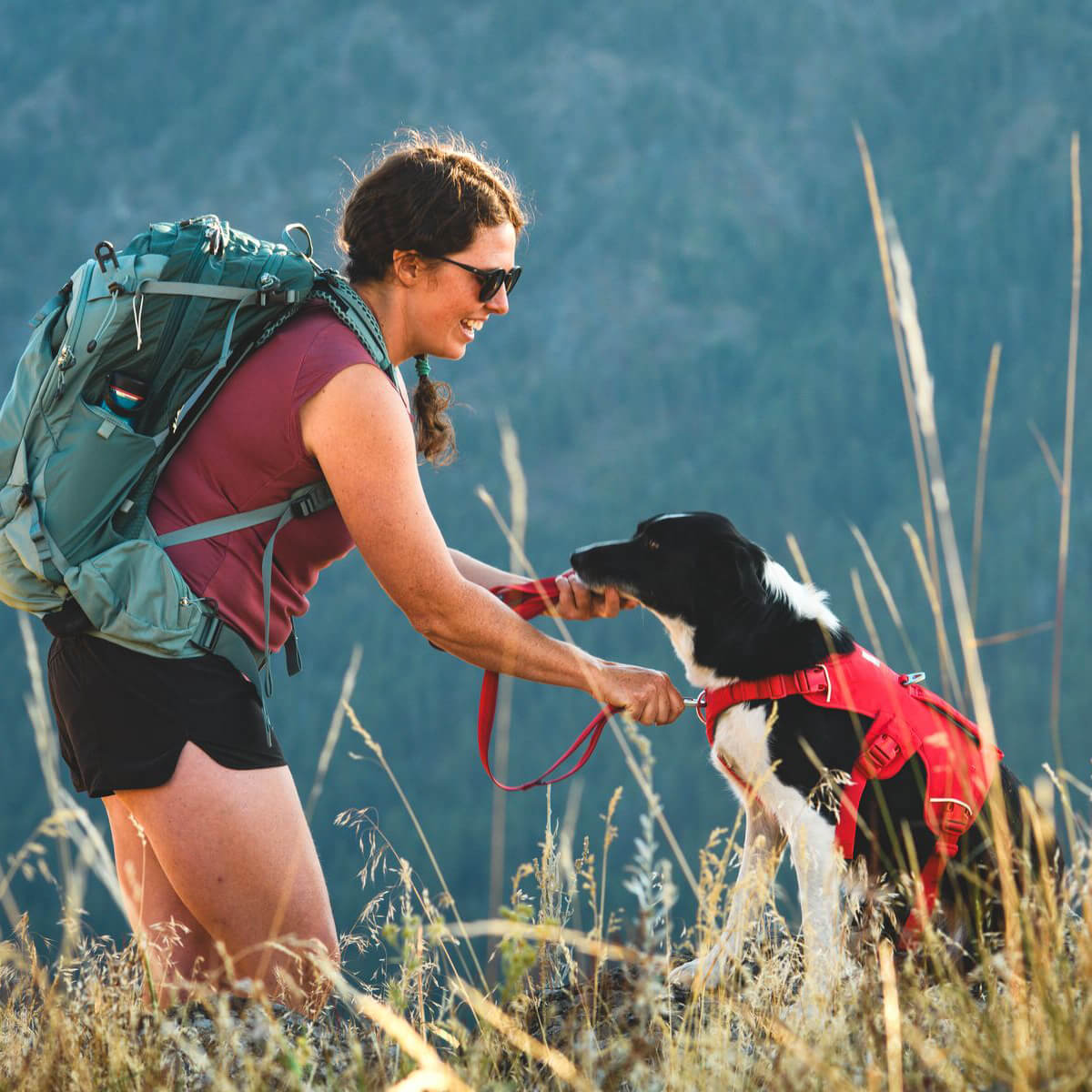 Ruffwear Web Master™ Dog Harness with Handle