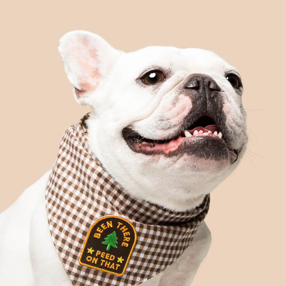 Scout's Honour Iron On Patch | Been There Peed On That