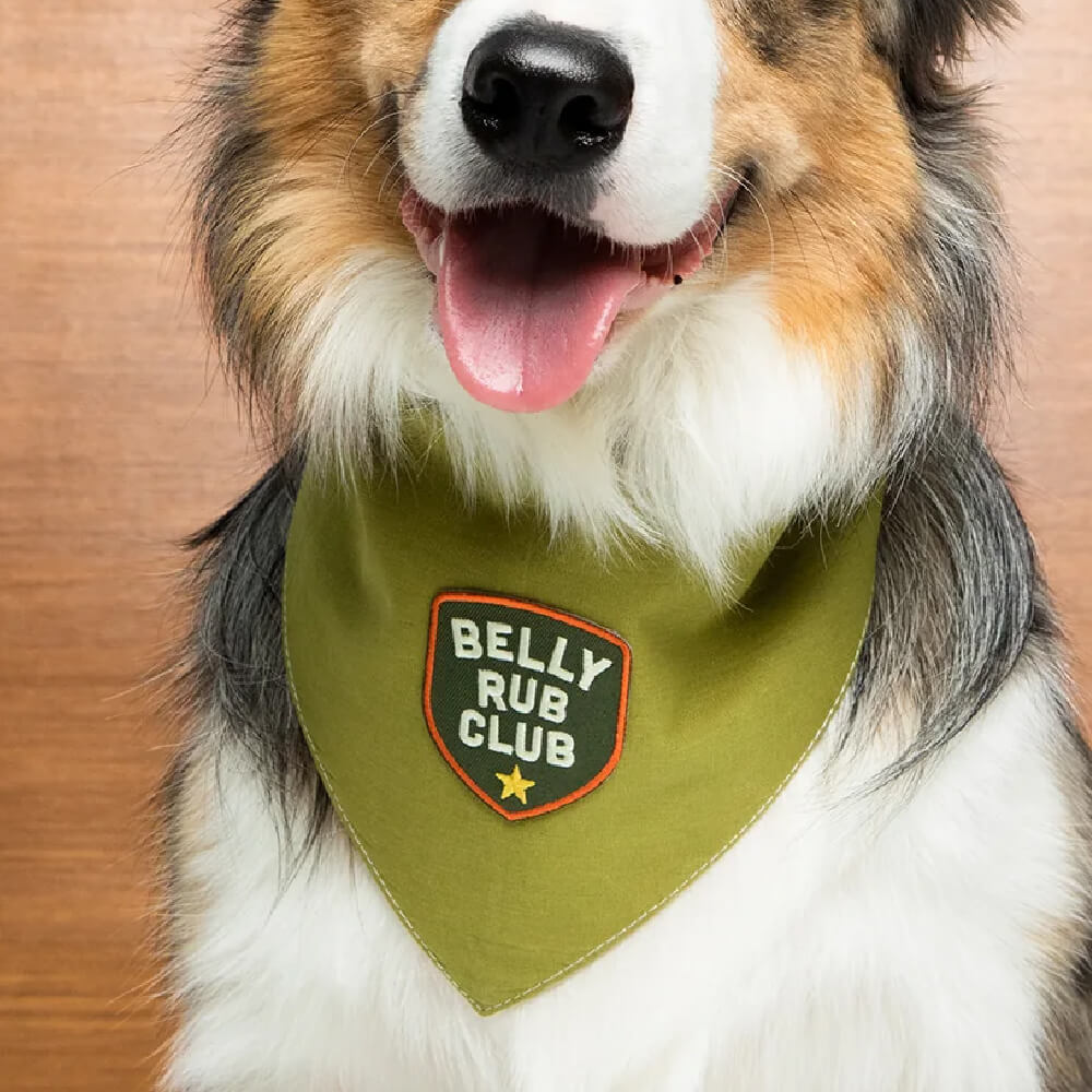 Scout's Honour Iron On Patch | Belly Rub Club