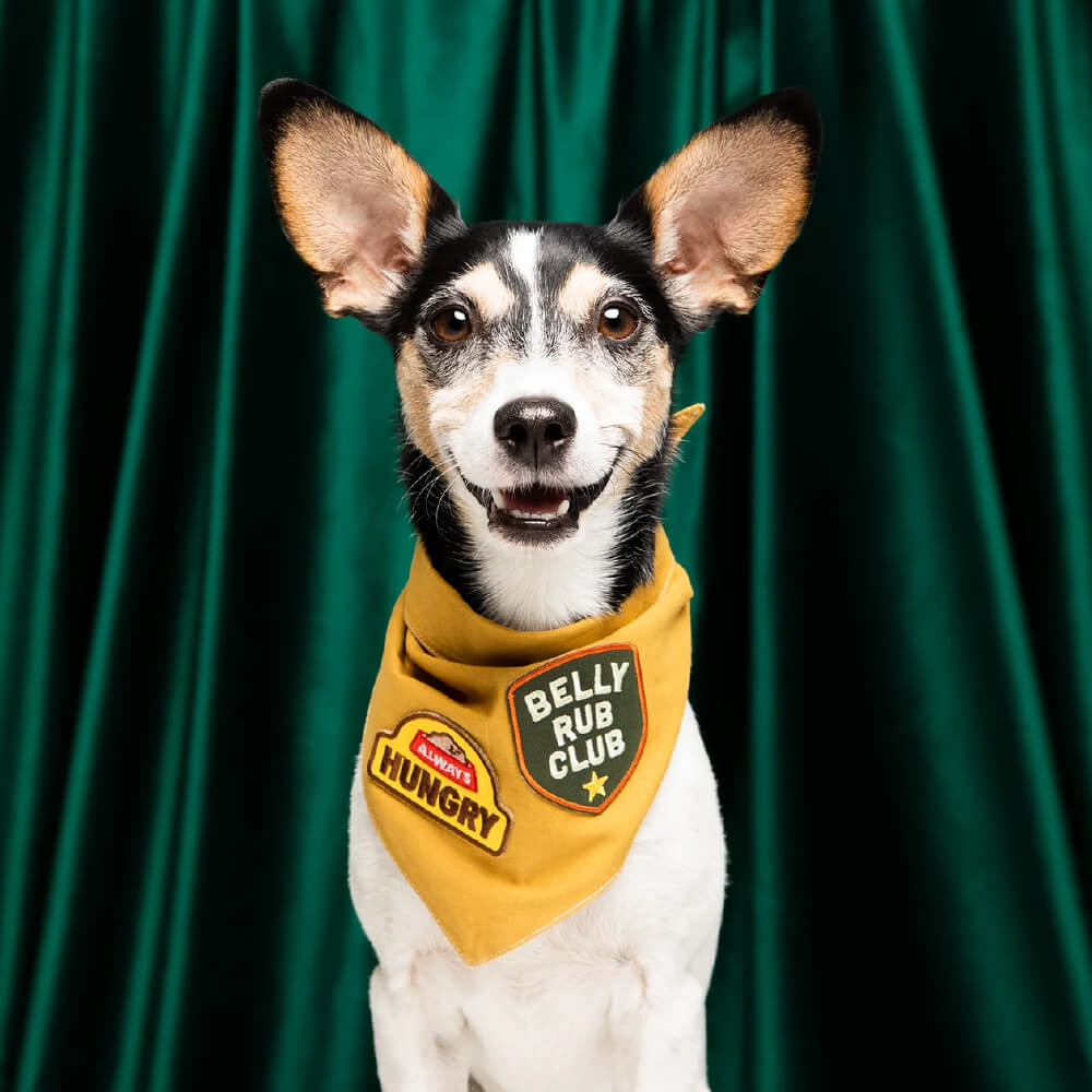 Scout's Honour Iron On Patch | Belly Rub Club