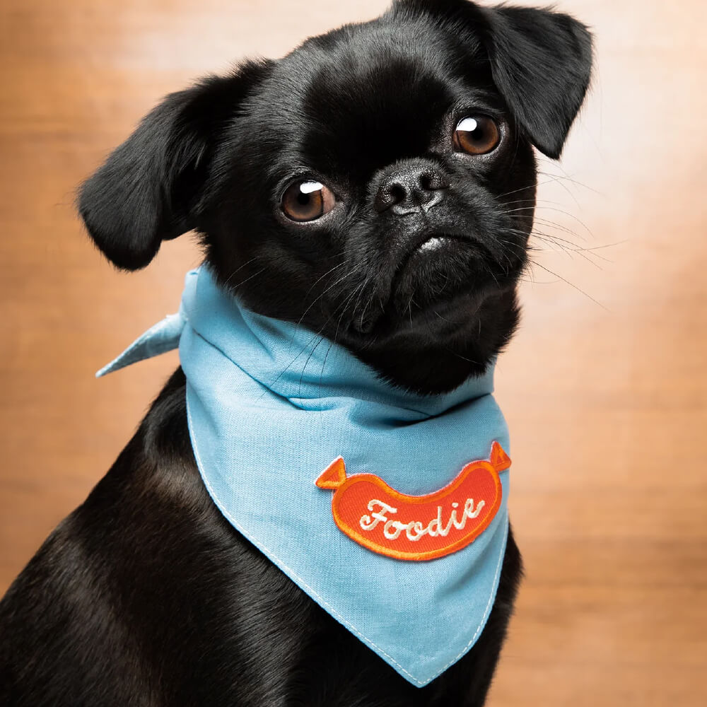 Scout's Honour Iron On Patch | Foodie