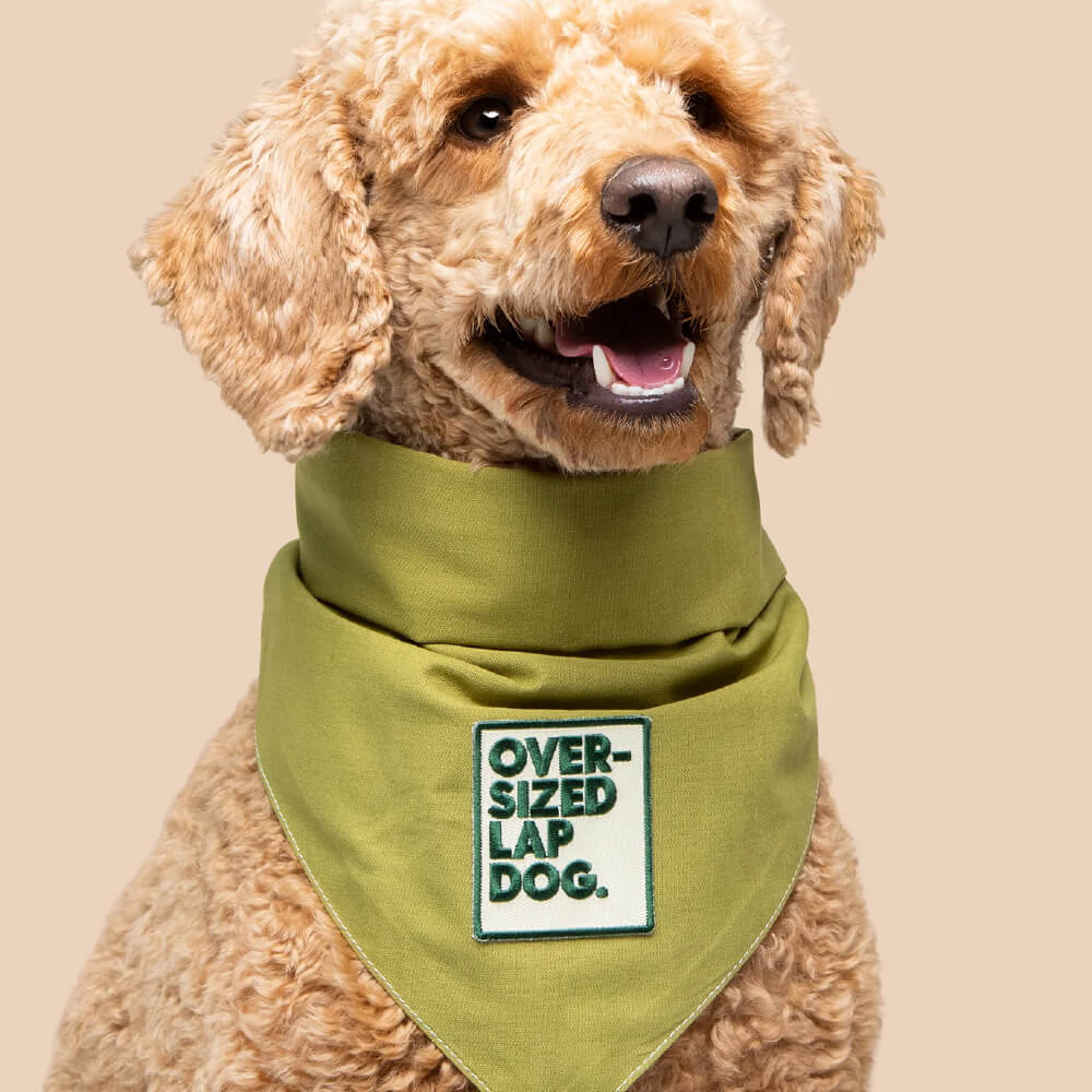 Scout's Honour Iron On Patch | Oversized Lap Dog
