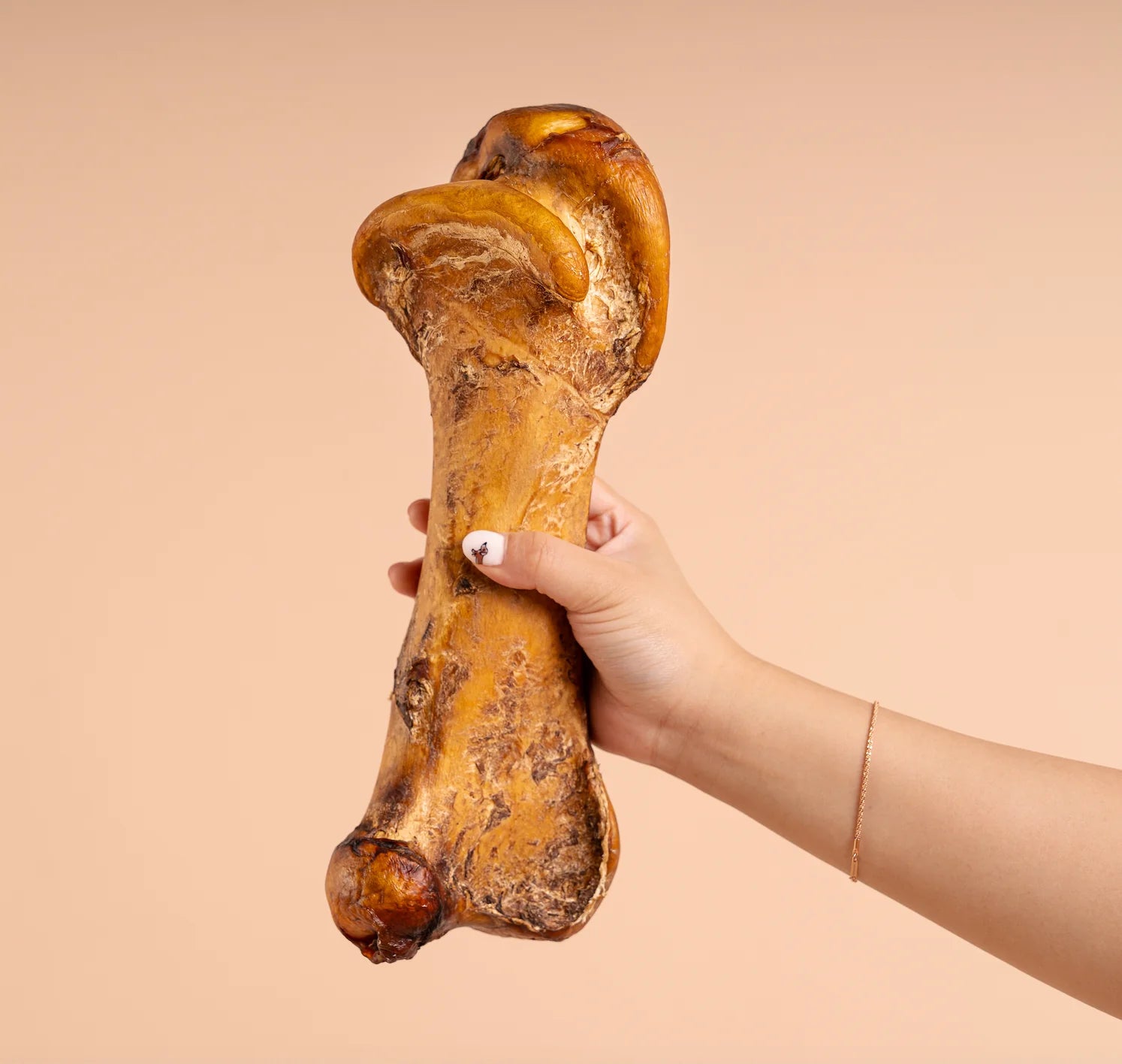 The Source-Sage Club Large Ostrich Bone