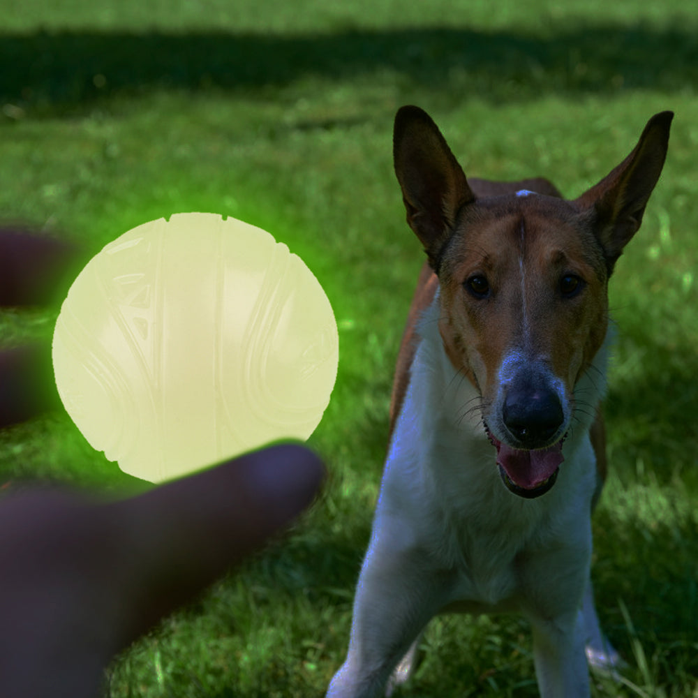 SkipDawg Neon Glow Ball