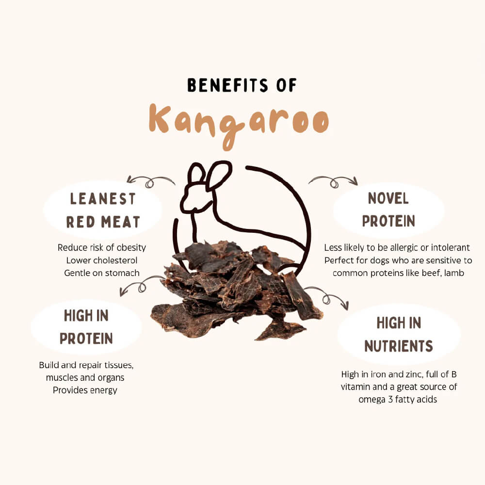 The Source-Sage Club Kangaroo Leg Tendon Pop