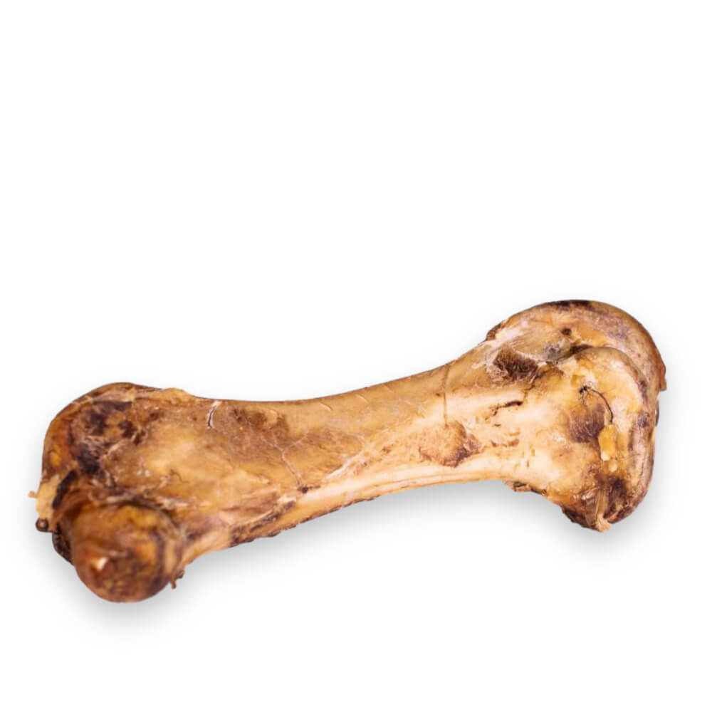 The Source-Sage Club Large Ostrich Bone
