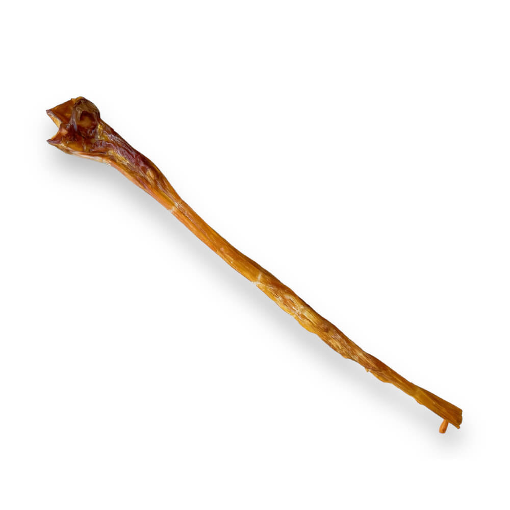 The Source-Sage Club Ostrich Long Tendons