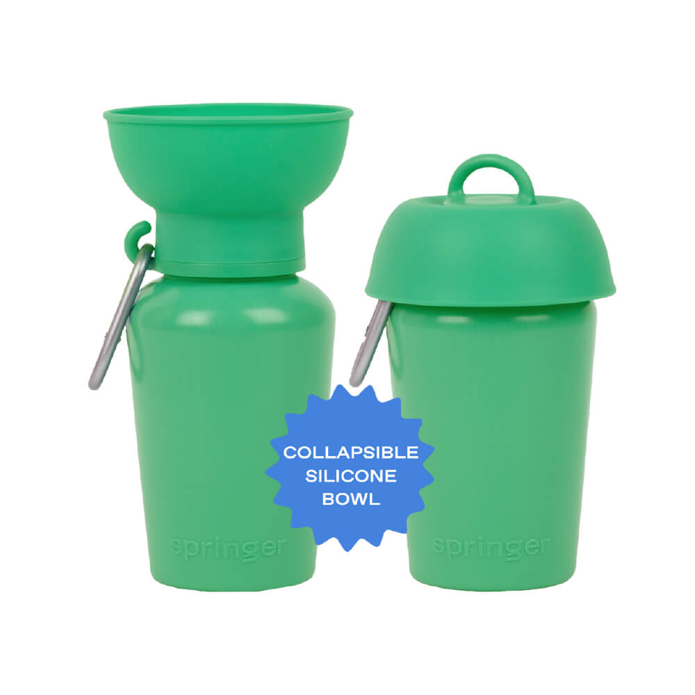 Springer Flip Dog Travel Water Bottle (590ml)