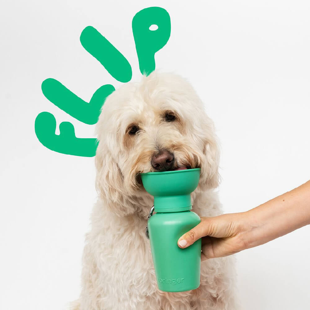 Springer Flip Dog Travel Water Bottle (590ml)
